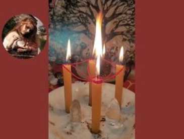 Div�rcio Energ�tico - Corte de La�os e Liberta��o