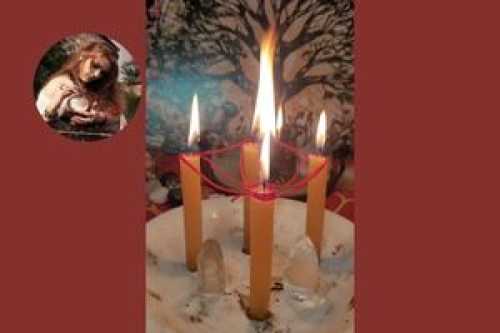 Divrcio Energtico  Corte de Laos e Libertao