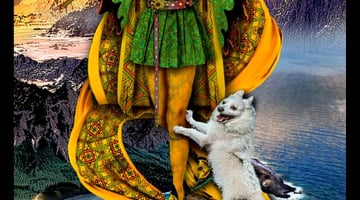 O Louco - Tarot online -