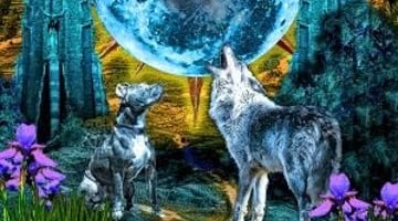 A Lua - Carta do dia